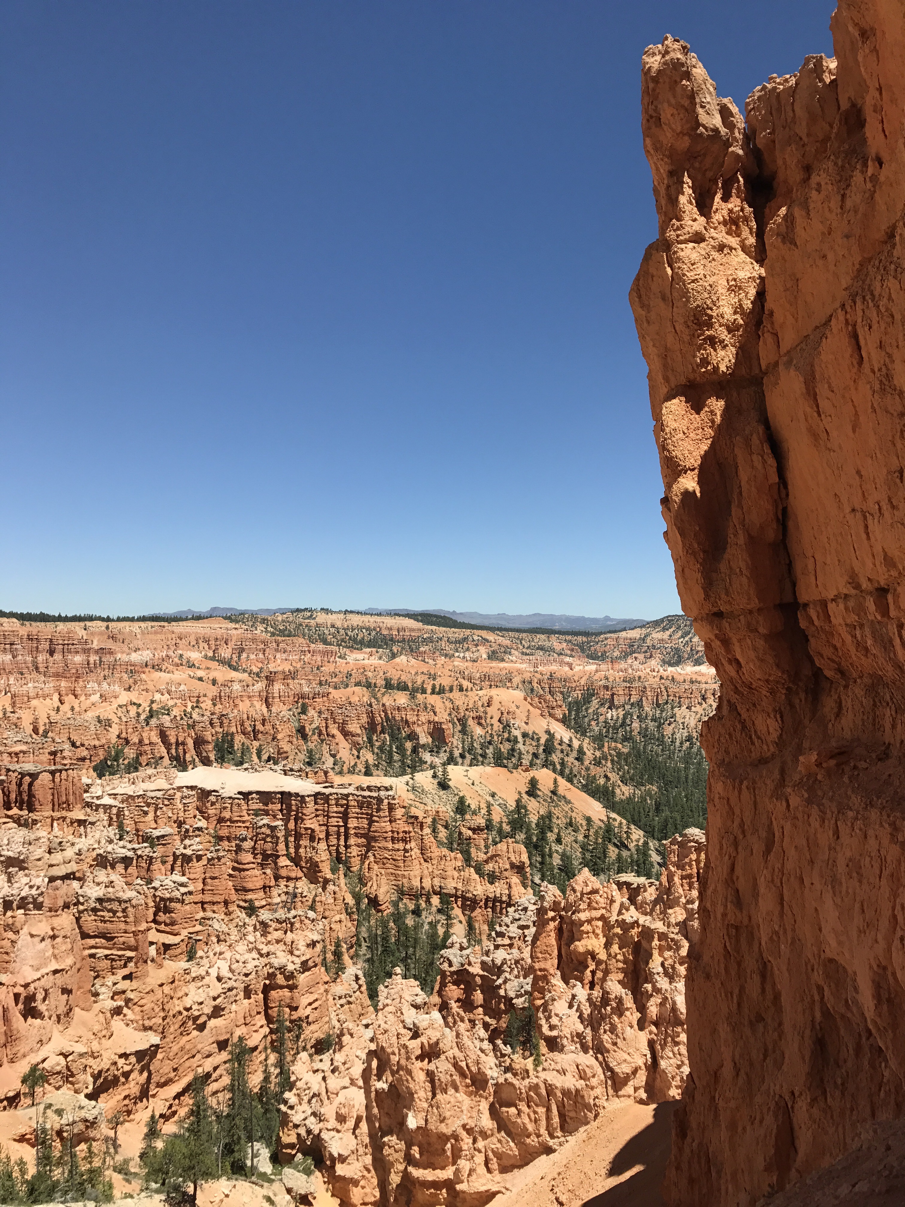 From Essay Scoring in Salt Lake to Hiking the Hoodoos in Southern Utah